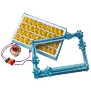 Kesari Mawa Peda with Free Rakhi Gift