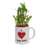 I Love My Dad