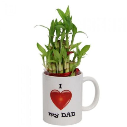 I Love My Dad