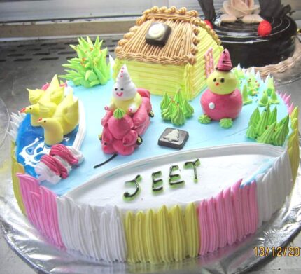 Birdhouse Cake Kolkata